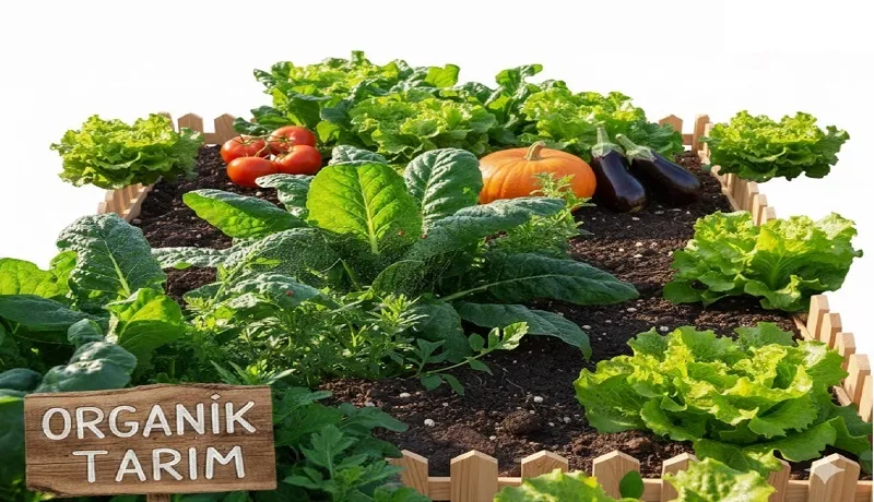 Natürel Tarım Ürünleri