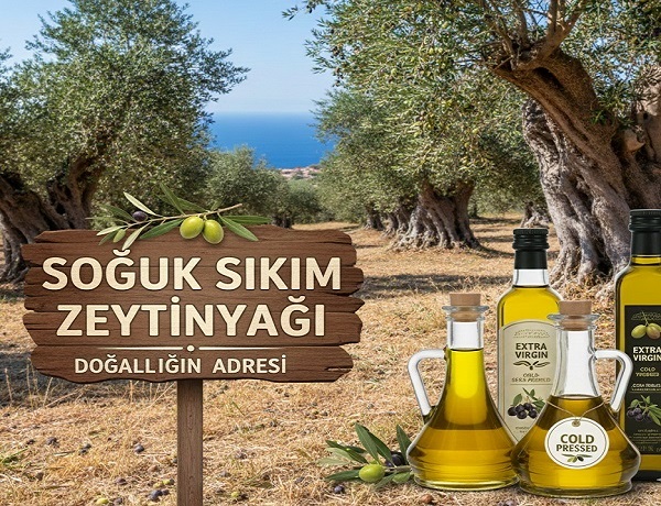 Soğuk Sıkım Zeytinyağı